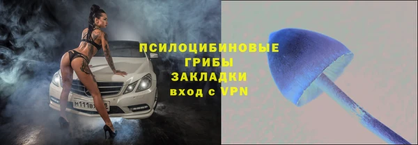 спиды Беломорск