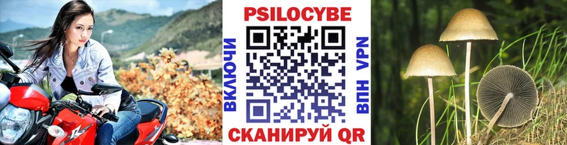 Псилоцибиновые грибы мухоморы  Вязники 