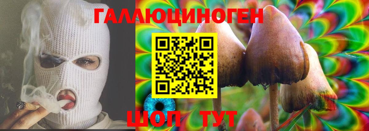 Галлюциногенные грибы прущие грибы Вязники