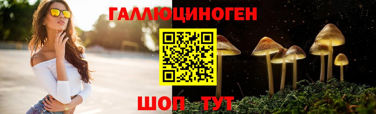 Псилоцибиновые грибы ЛСД  Вход с VPN  Вязники  Галлюциногенные грибы GOLDEN TEACHER 