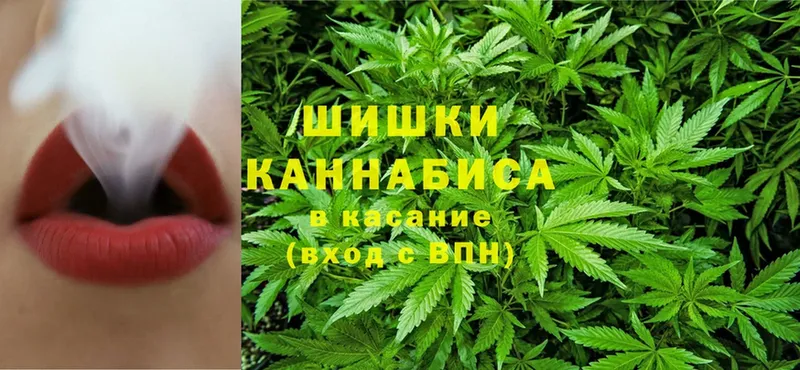 Канабис Amnesia  наркота  hydra как зайти  Вязники 